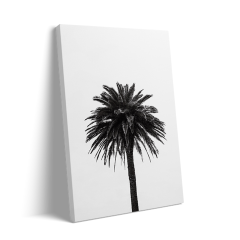 PALM