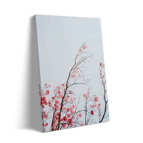 BRANCHES