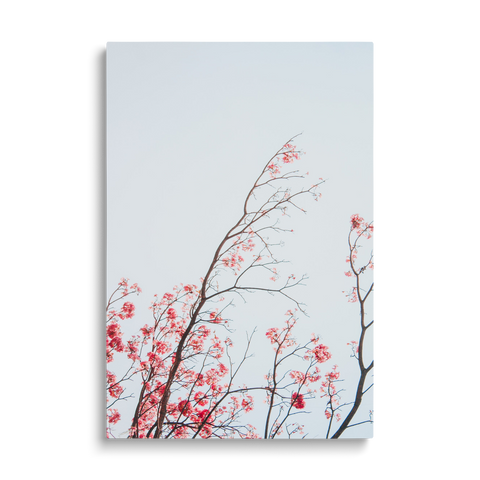BRANCHES