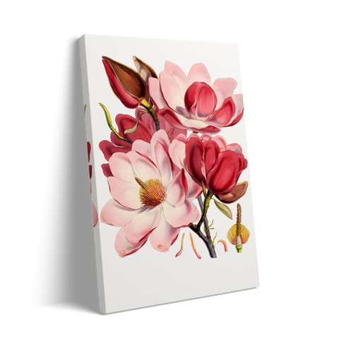 PINK FLOWERS