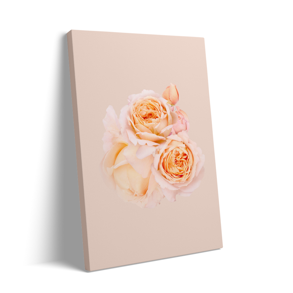 2 ROSES