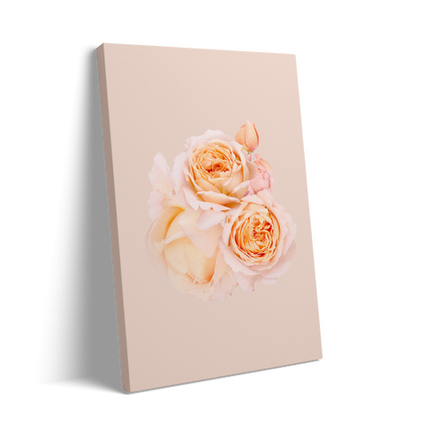 2 ROSES
