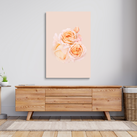 2 ROSES