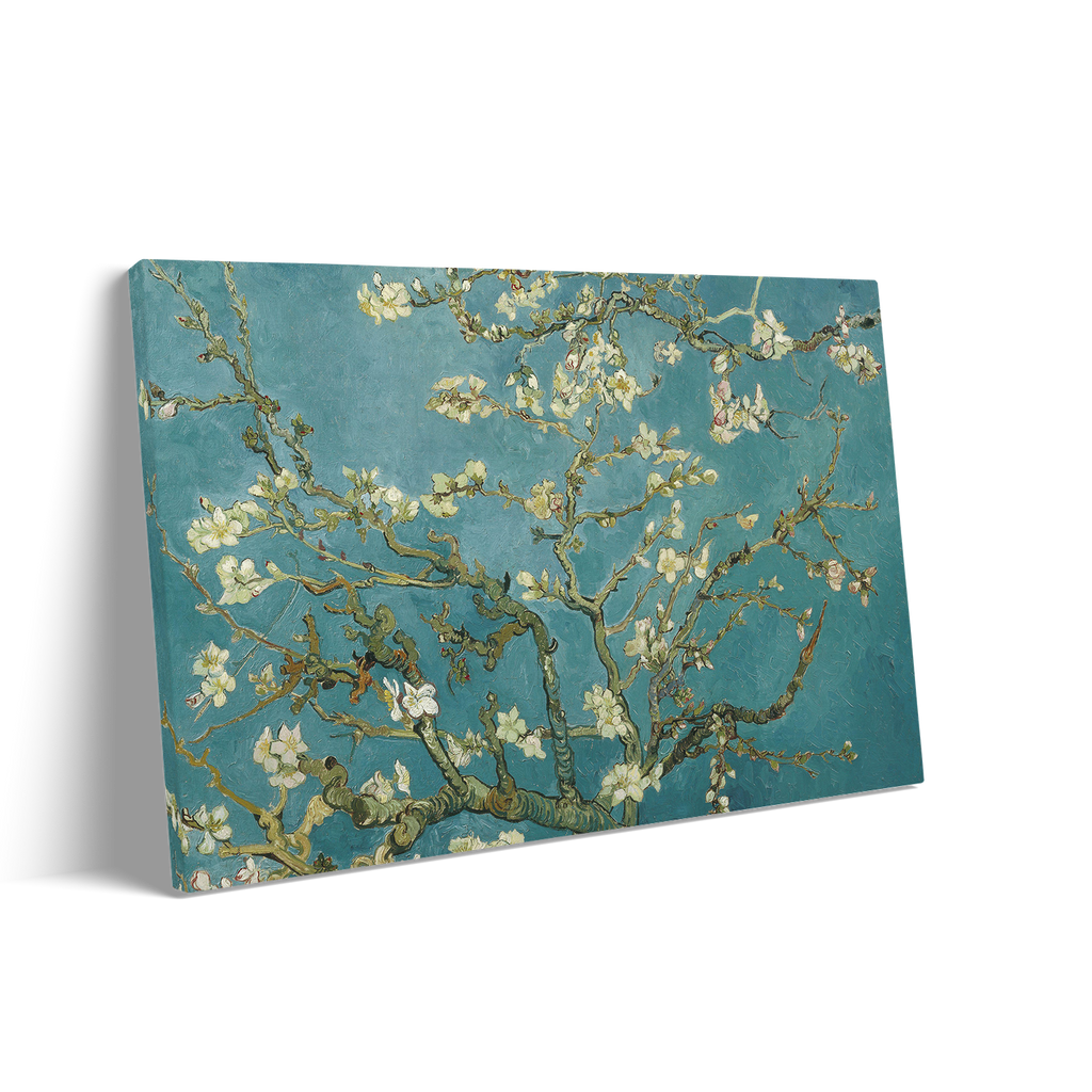ALMOND BLOSSOM