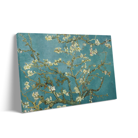 ALMOND BLOSSOM