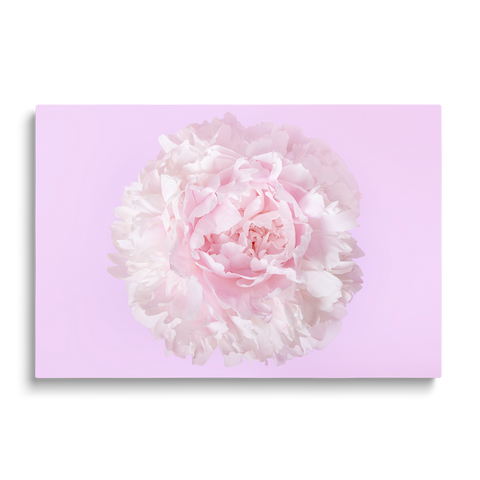 THE FLOWER