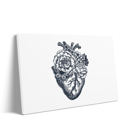 THE HEART