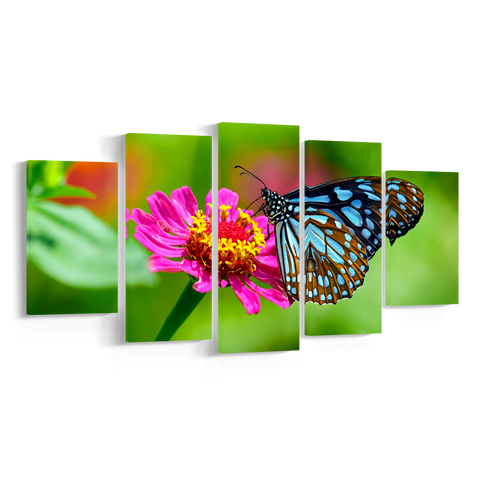 BUTTERFLY, Set 5 piese