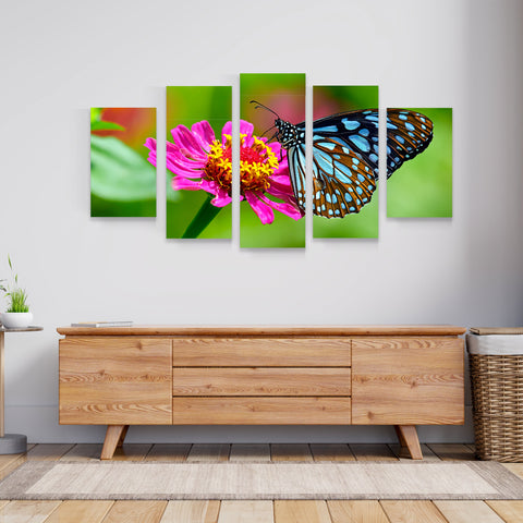 BUTTERFLY, Set 5 piese