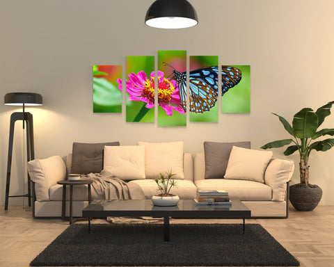 BUTTERFLY, Set 5 piese