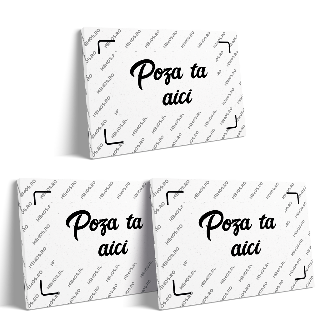 SET 3 TABLOURI PERSONALIZATE 20X30 cm