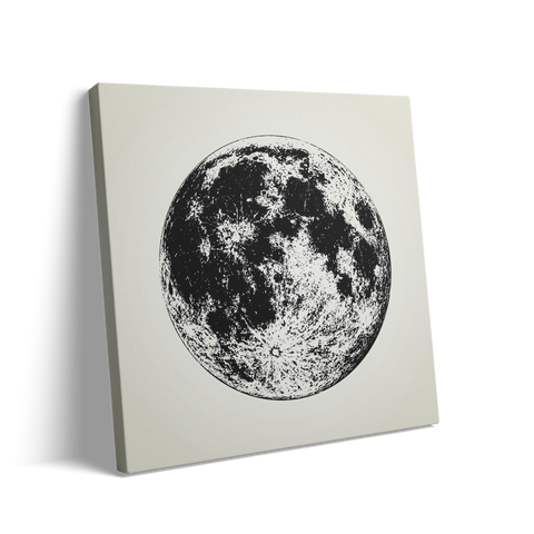 THE MOON