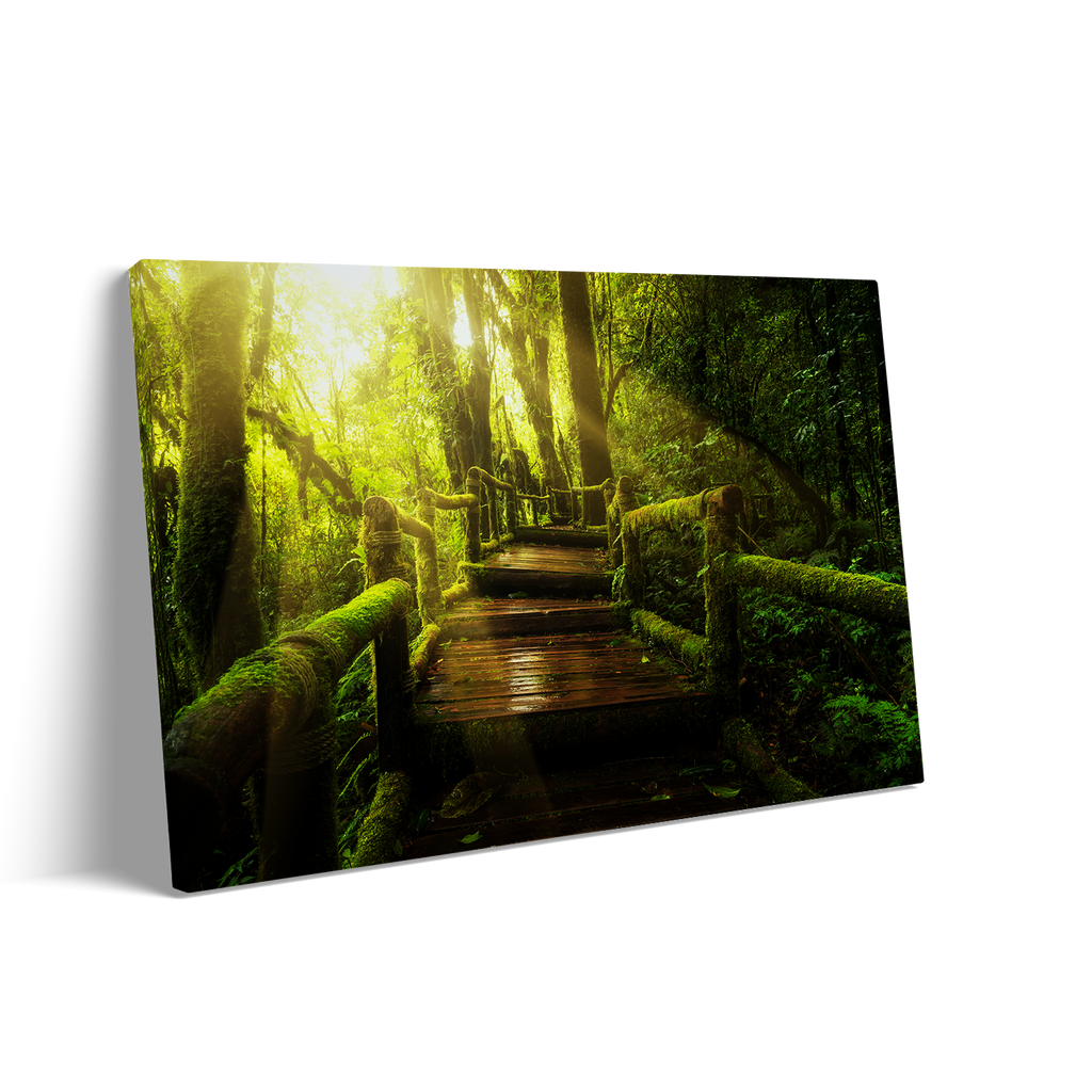 FOREST PATH
