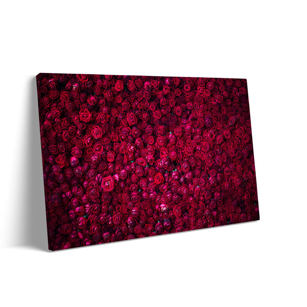 RED ROSES