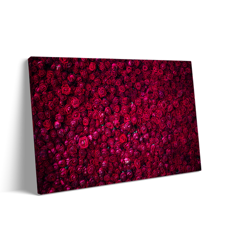 RED ROSES