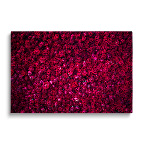 RED ROSES