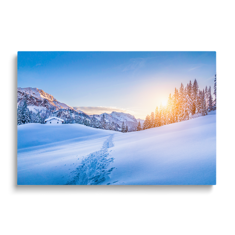WINTER WONDERLAND